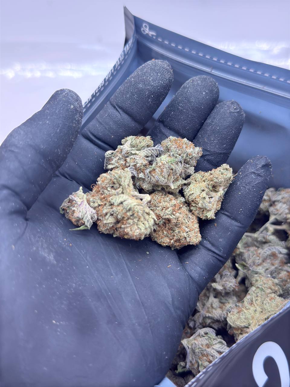 Blueberry Muffin- BUDGET 180 oz - Image 2