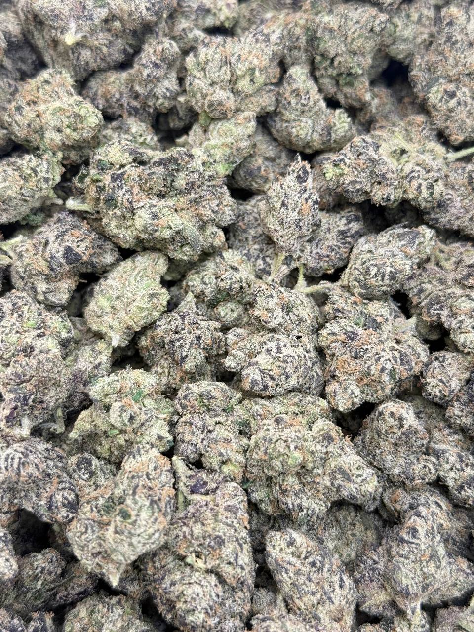 Tropicana Kush Premium Living Soil - Image 2